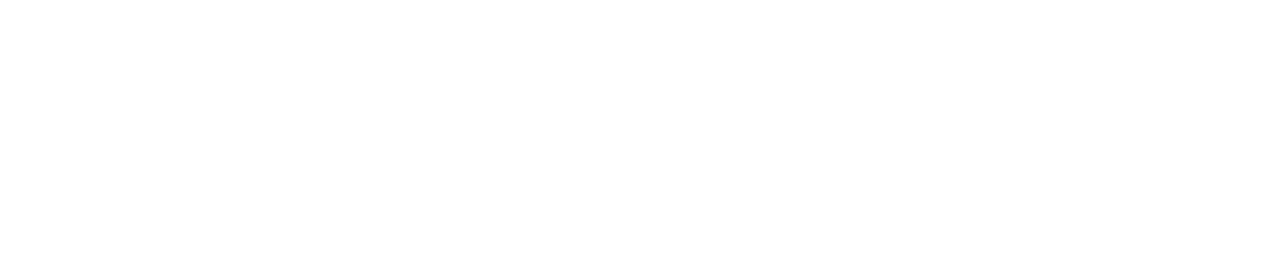 CAICA COIN